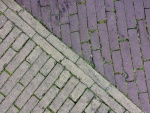 51-fotografie6.jpg